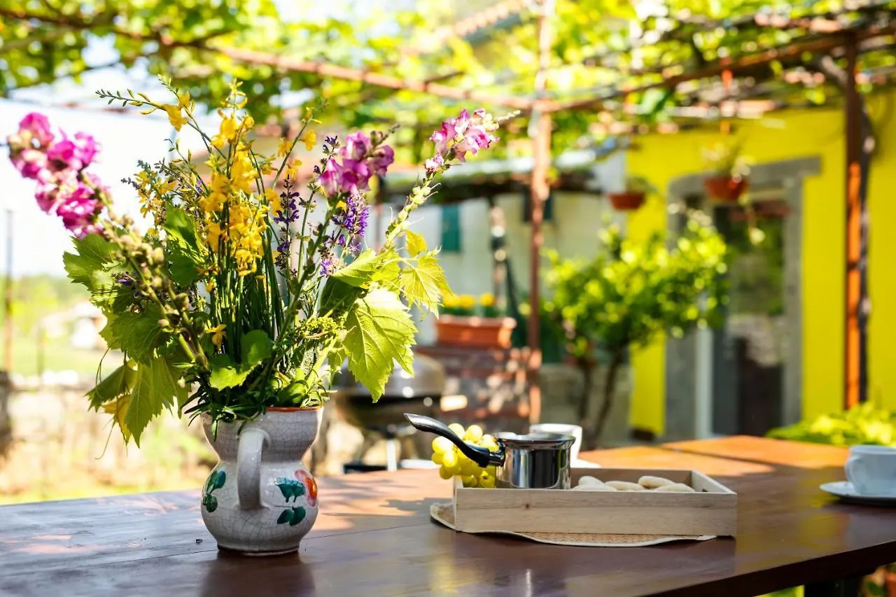 Holiday House Nono Labin  Croatia